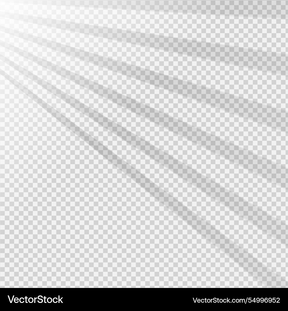 Transparent shadows overlay effect Vector Image