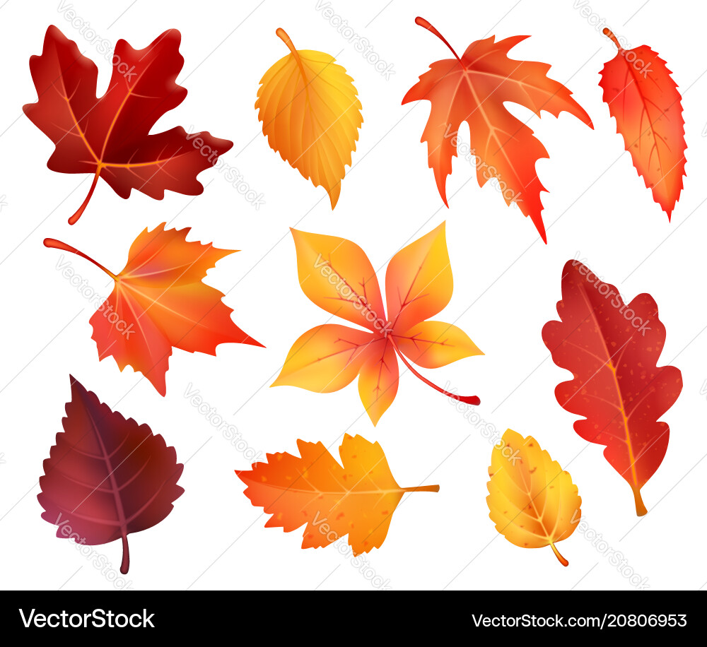 Autumn Leaf Icons - Falling Foliage Vector Image