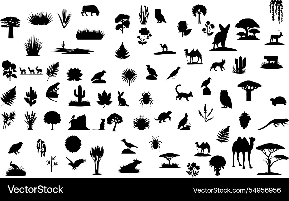 Desert animals and plant Desert animals and plant Vector Image