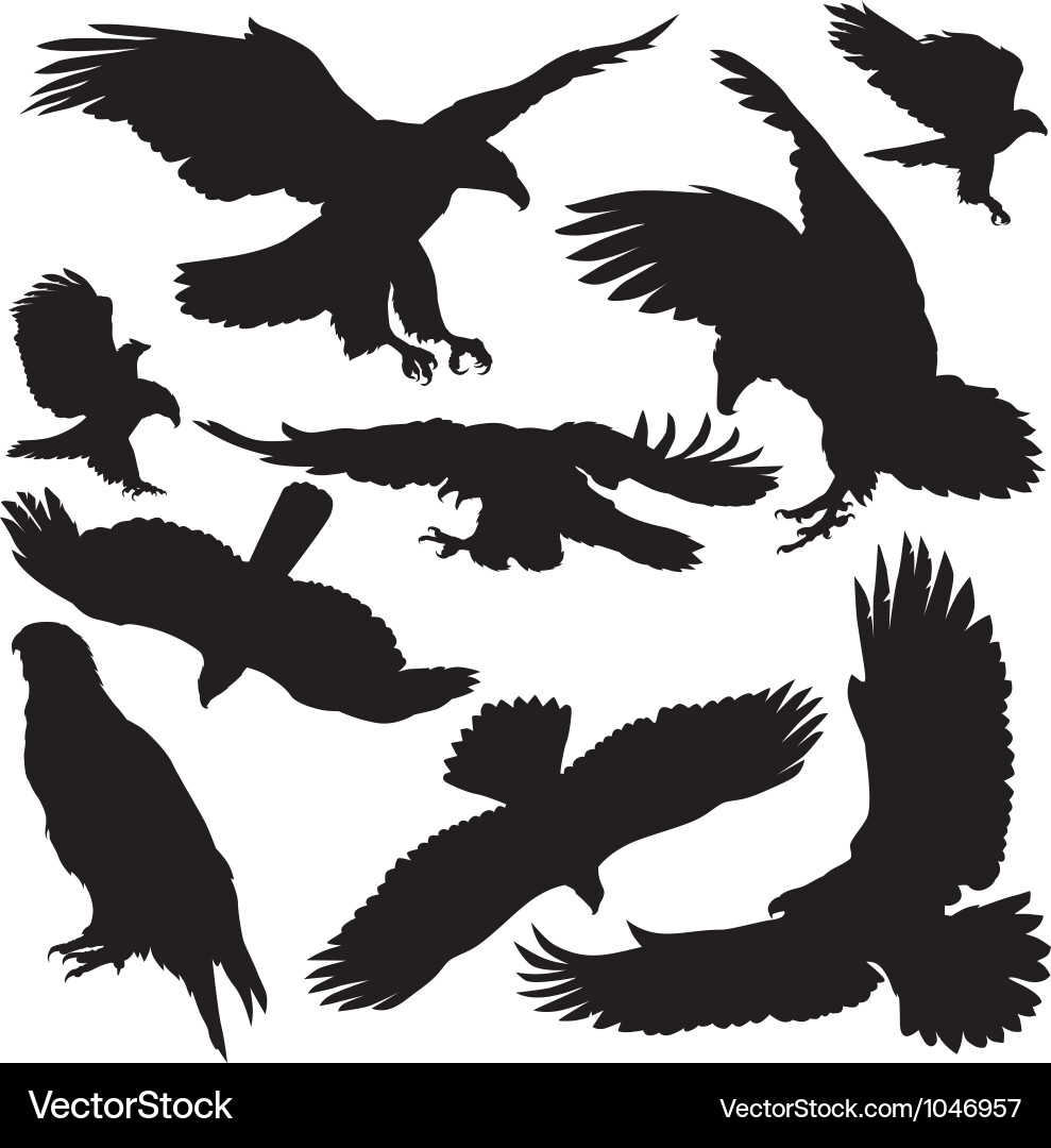 Eagle Royalty Free Vector Image - VectorStock