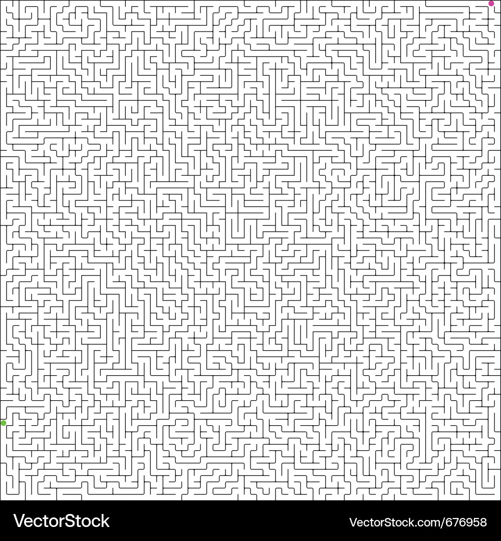 Complex Maze Pattern vector image