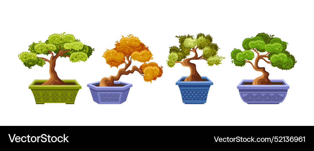 Colorful bonsai trees in decorative pots each Colorful bonsai trees in decorative pots each vector image