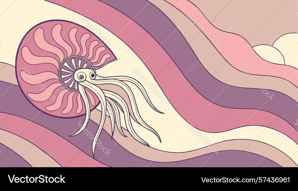 Nautilus shell with abstract swirling patterns vector image