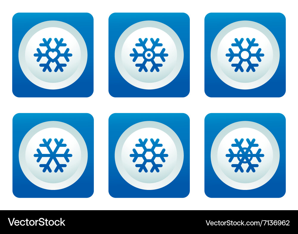 Snowflake set on blue button Vector Image