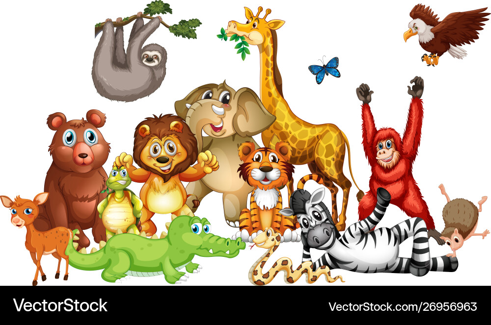 Many cute animals on white background Many cute animals on white background vector image