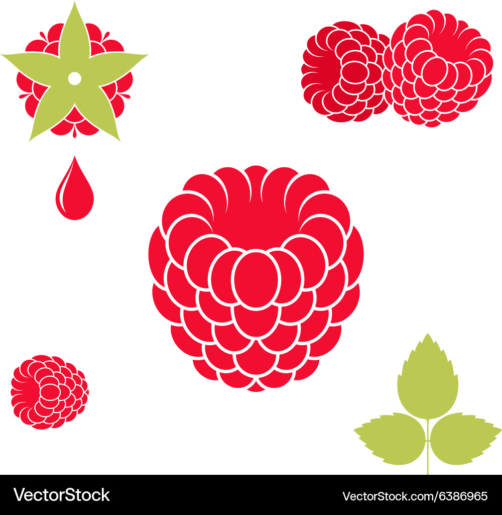 Raspberry Icon Set vector image