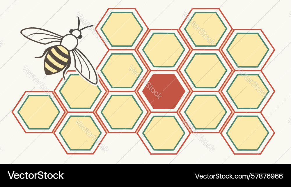 Honeycomb pattern with a highlighted hexagonal Vector Image