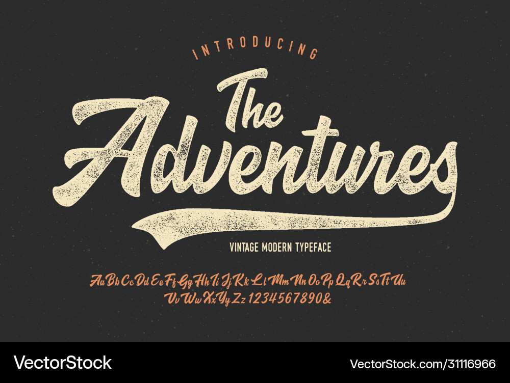 Retro Brush Script Font - Adventure Style vector image