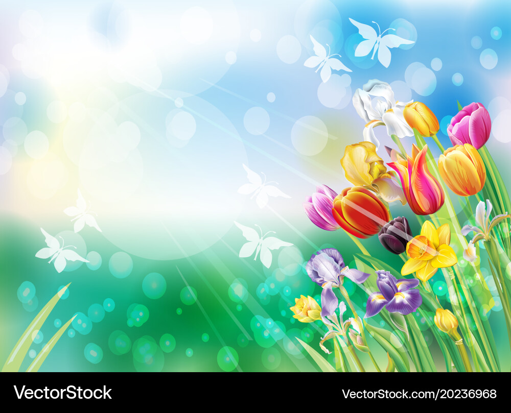 Background with multicolor spring flowers Vector Image