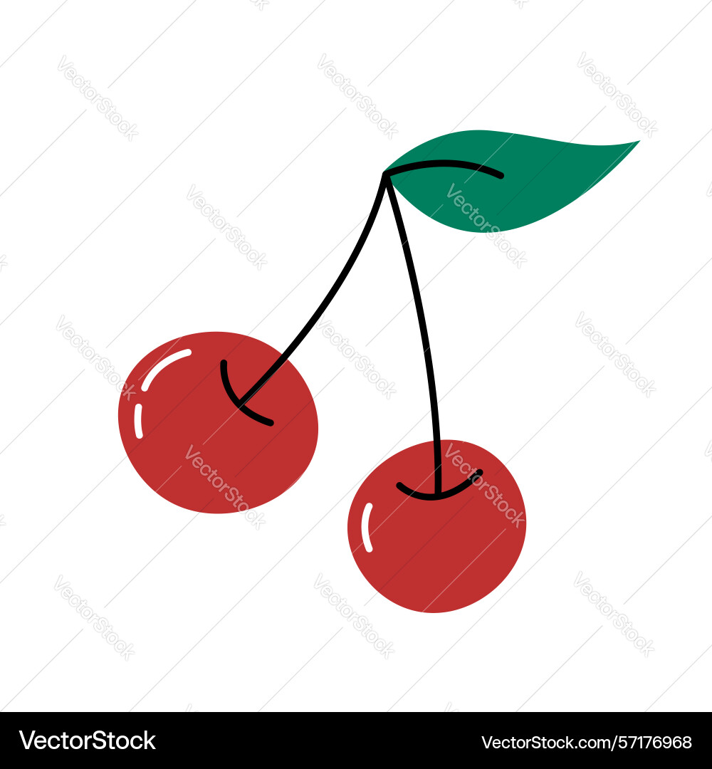 Cherry berries isolated object element Vector Image