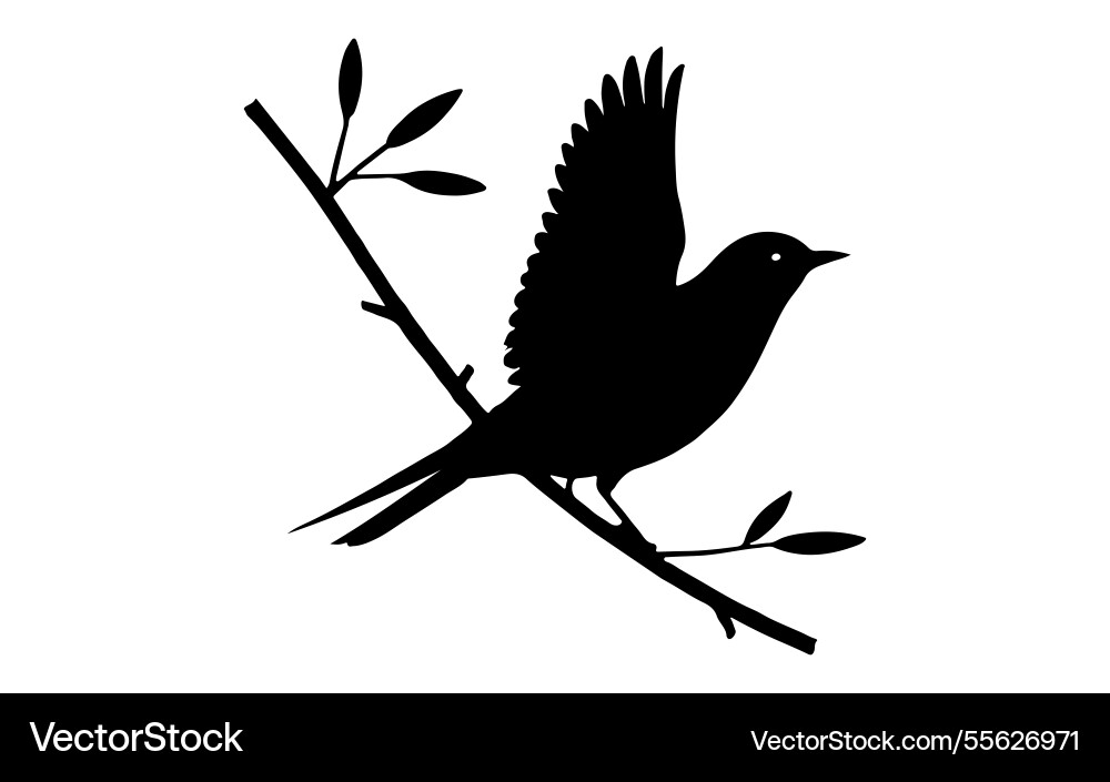 Tree branch bird images and white background Vector Image