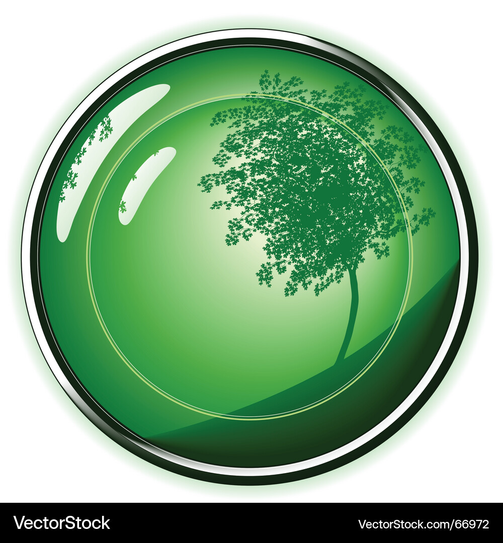Green button Vector Image