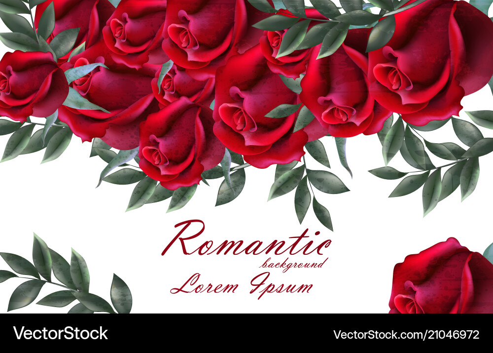 Romantic roses card beautiful red vector image