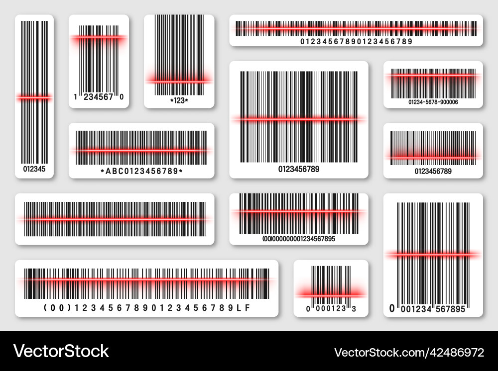 Set of product barcodes with red scanning line Vector Image
