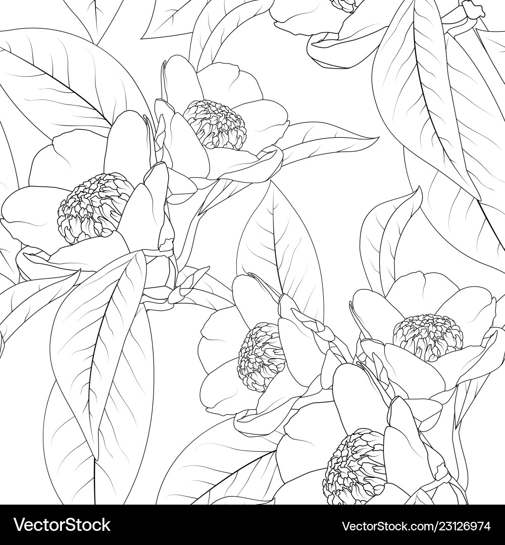Camellia Blumen Bouquet mit Blätter Linie Design Camellia Blumen Bouquet mit Blätter Linie Design vektorbild