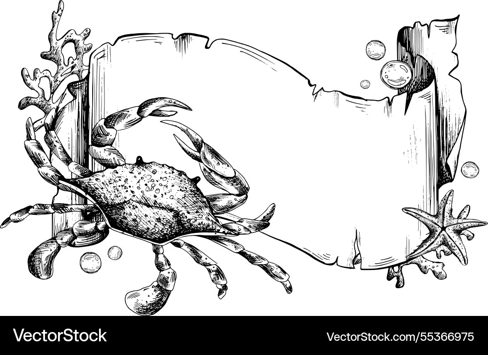 Paper banner scroll in marine theme Paper banner scroll in marine theme Vector Image
