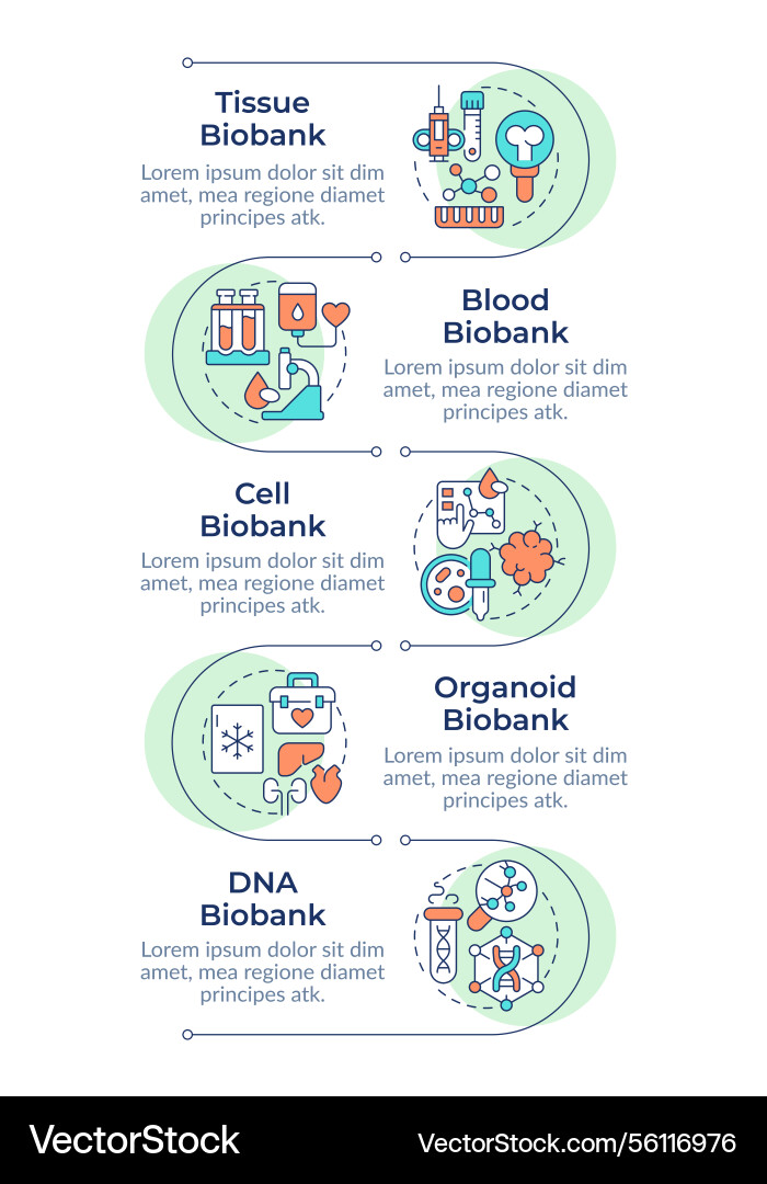 Types of biobanks infographic vertical sequence Types of biobanks infographic vertical sequence vector image