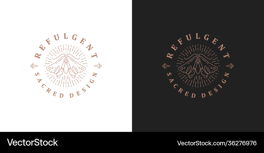 Wild moth logo elegant template linear Wild moth logo elegant template linear vector image