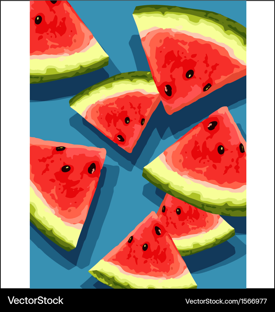 Watermelon Slice Pattern vector image