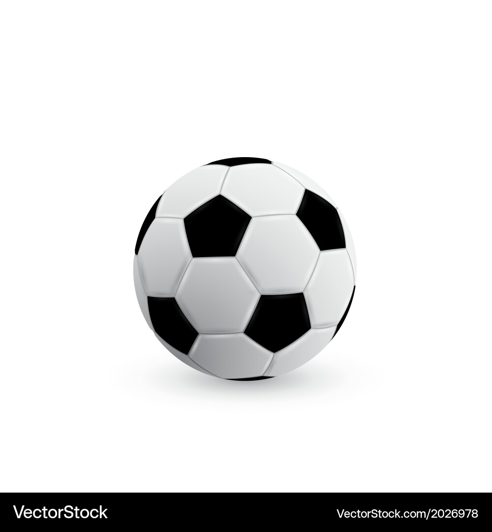 Soccer Ball on White Background vector image