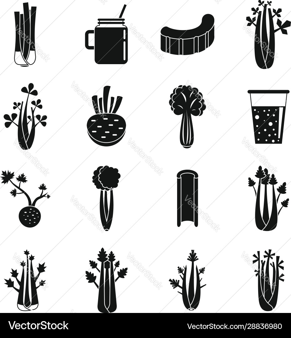 Celery food icons set simple style Vector Image