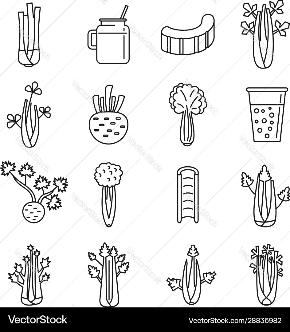 Celery salad icons set outline style Vector Image