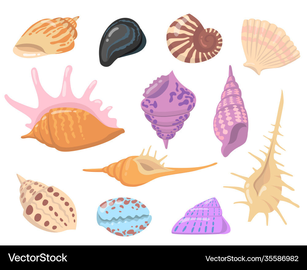 Sea or ocean shell objects flat set Sea or ocean shell objects flat set Vector Image