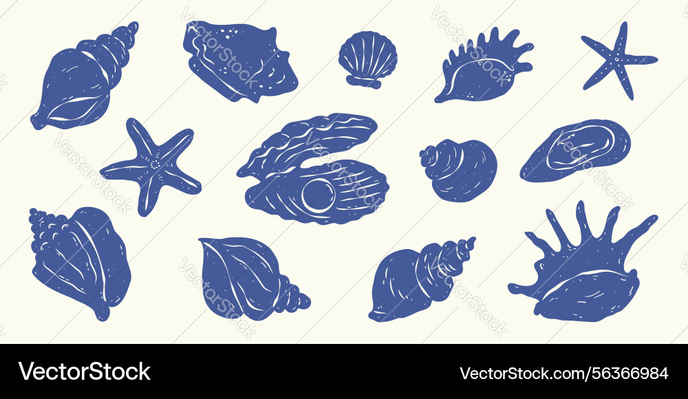 Set of isolated various seashells and starfishes Vector Image