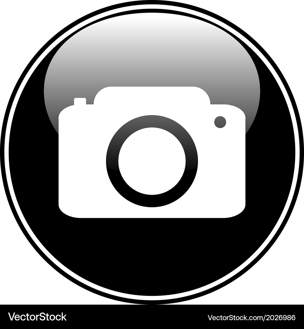 Camera button Vector Image