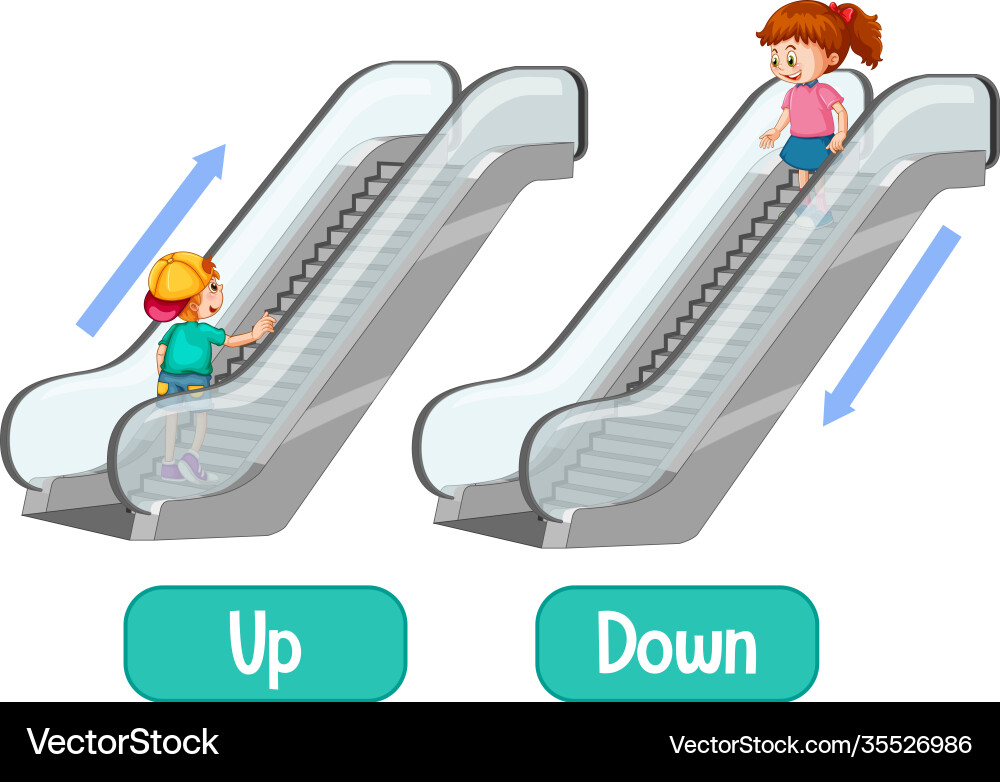 Up and Down Concepts vector image