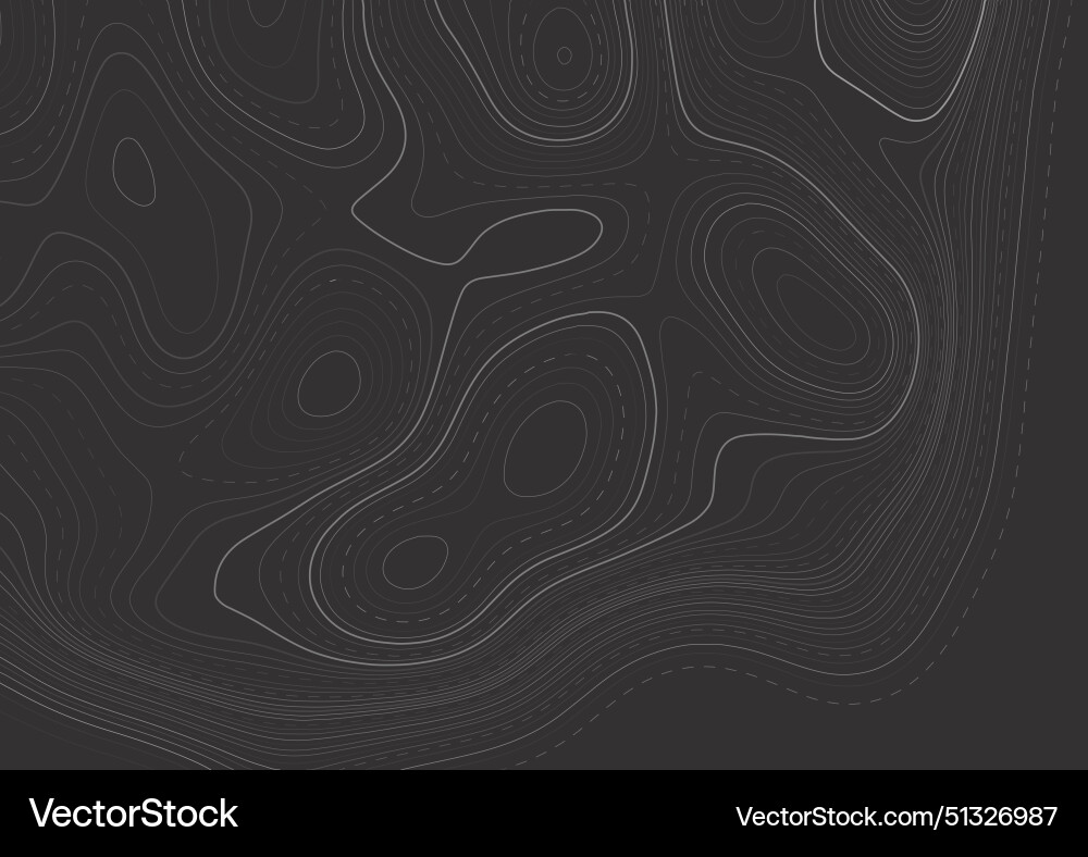 Abstract map background with a topography design vector image