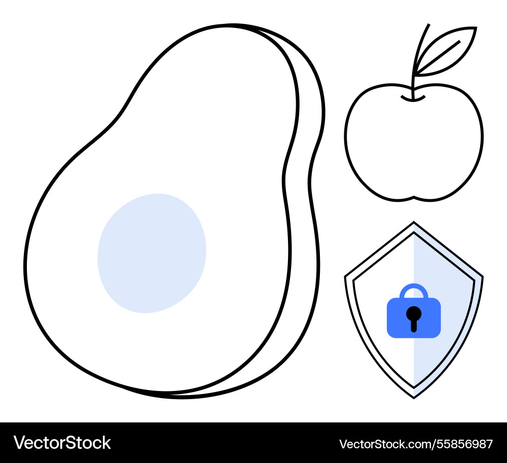 Avocado apple and secure data shield concept Vector Image