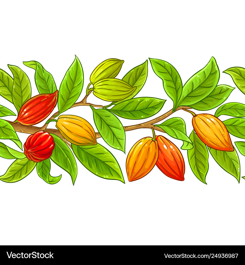 Cocoa Bean Branches Pattern Vector Image