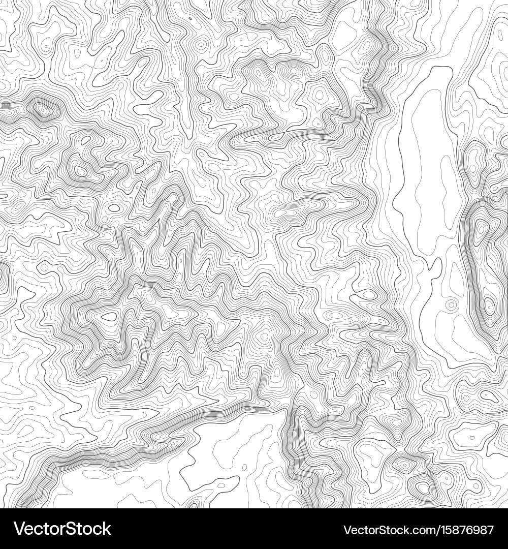 Topographic map background with space for copy vector image