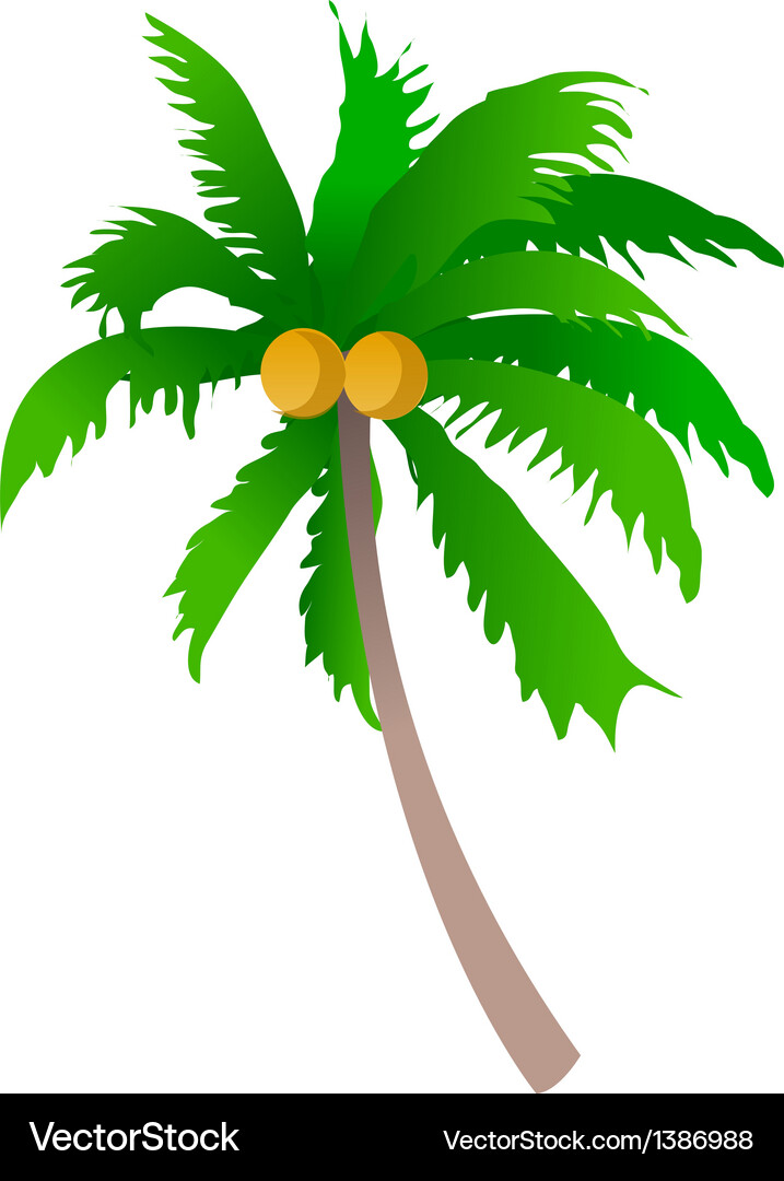 A view of tree Vector Image