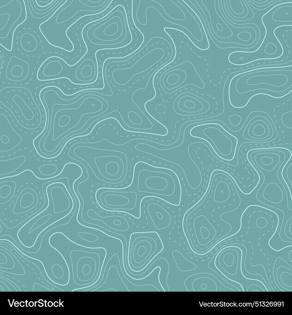 Abstract background with a topography map design vector image