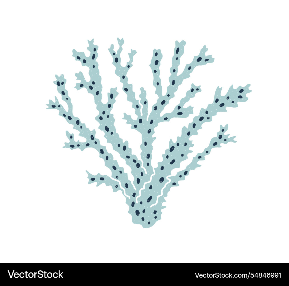 Coral branch sea underwater reef plant exotic Coral branch sea underwater reef plant exotic vector image