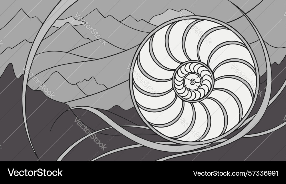 Stylized nautilus shell in monochromatic pattern vector image
