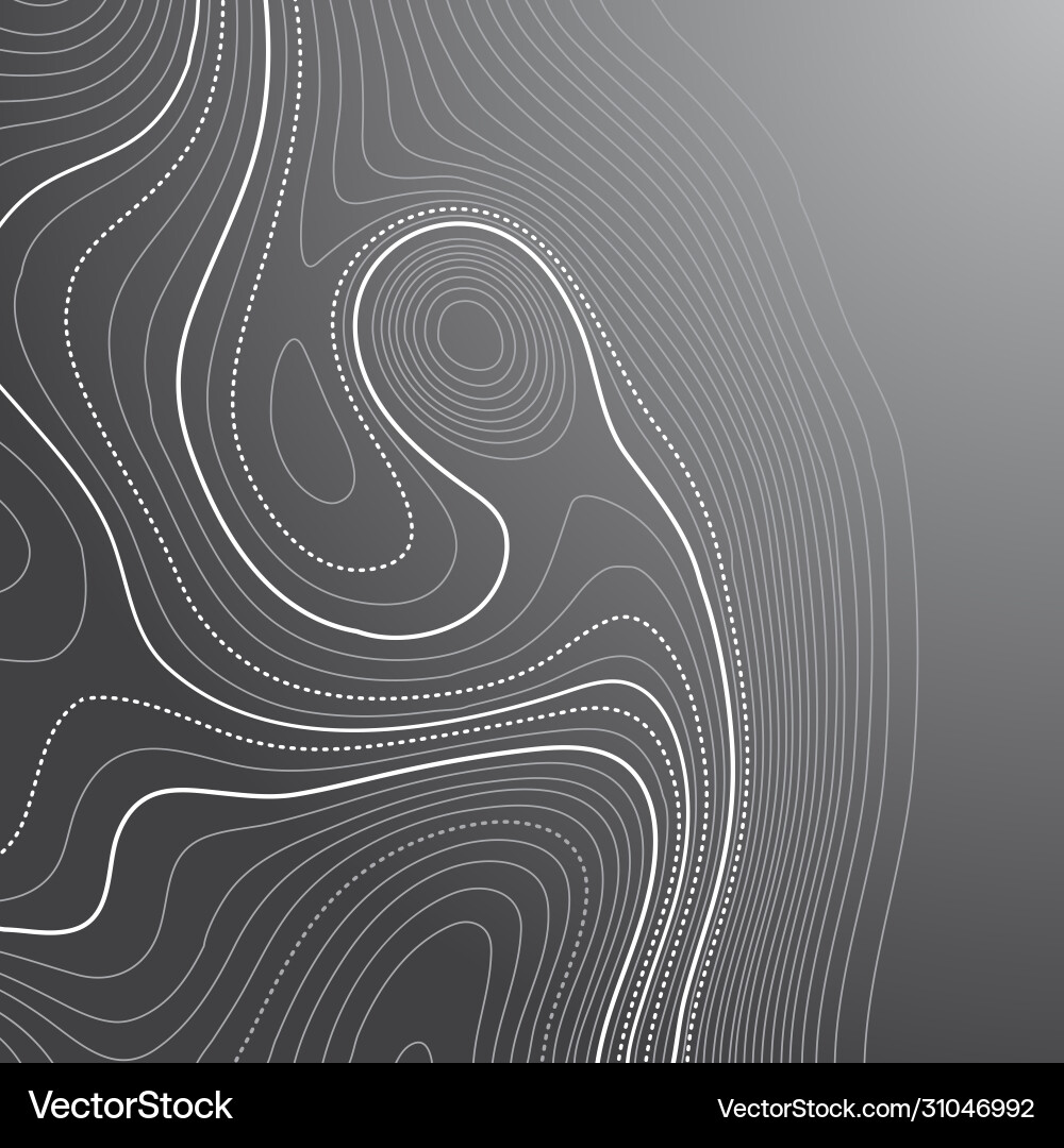 Abstract background with a contour topography vector image