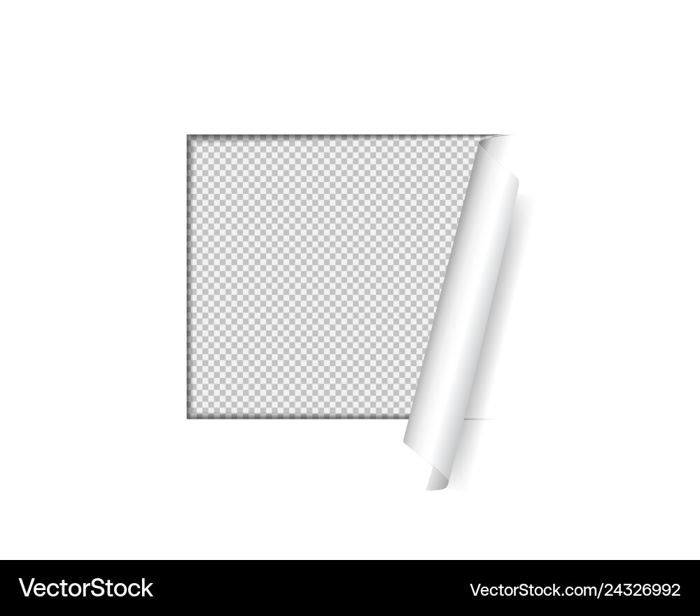 Page curl with shadow on transparent background 3d Page curl with shadow on transparent background 3d vector image