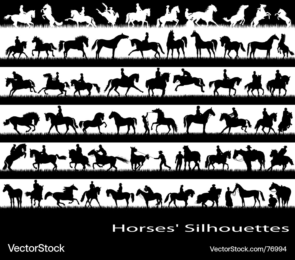 Horse Silhouettes Vector Image