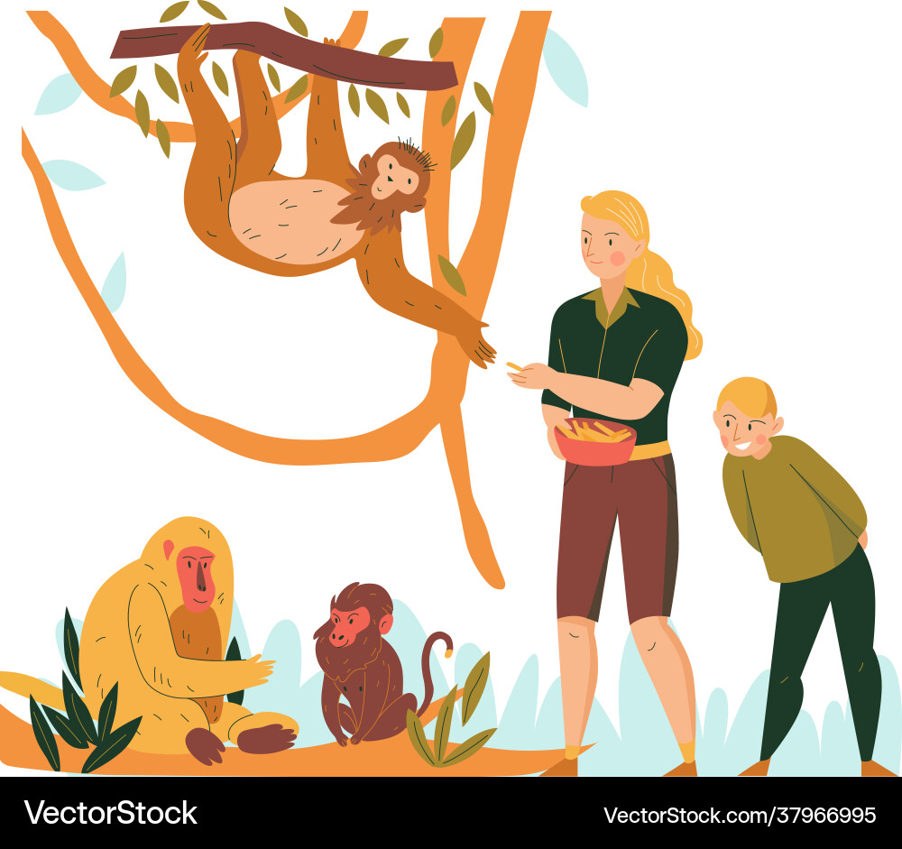 Zoo flat composition vector image