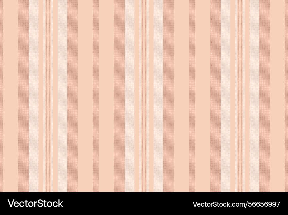 R0s pattern stripe veil textile lines seamless vector image