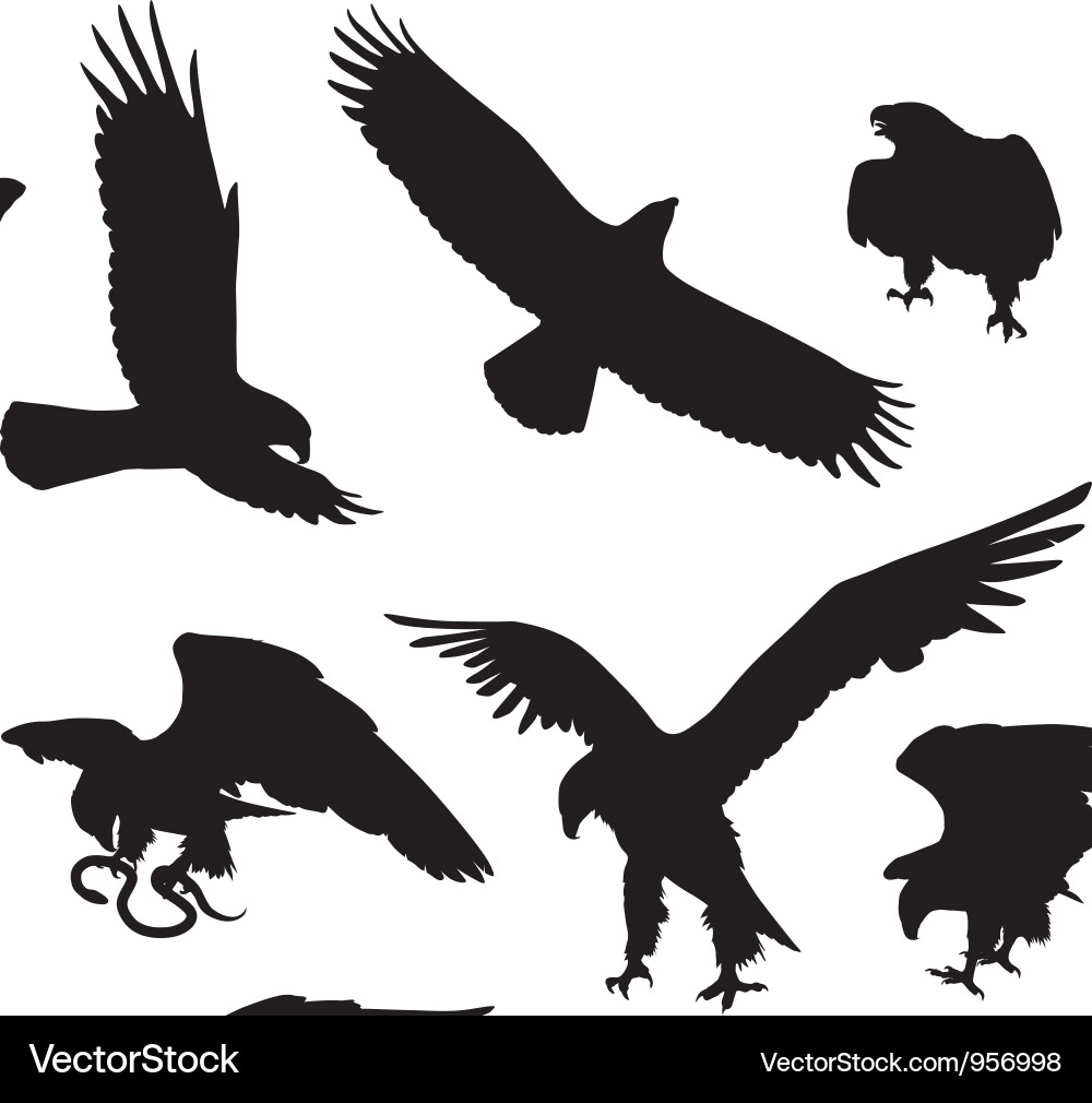 Eagle Silhouettes - Hunting Set vector image