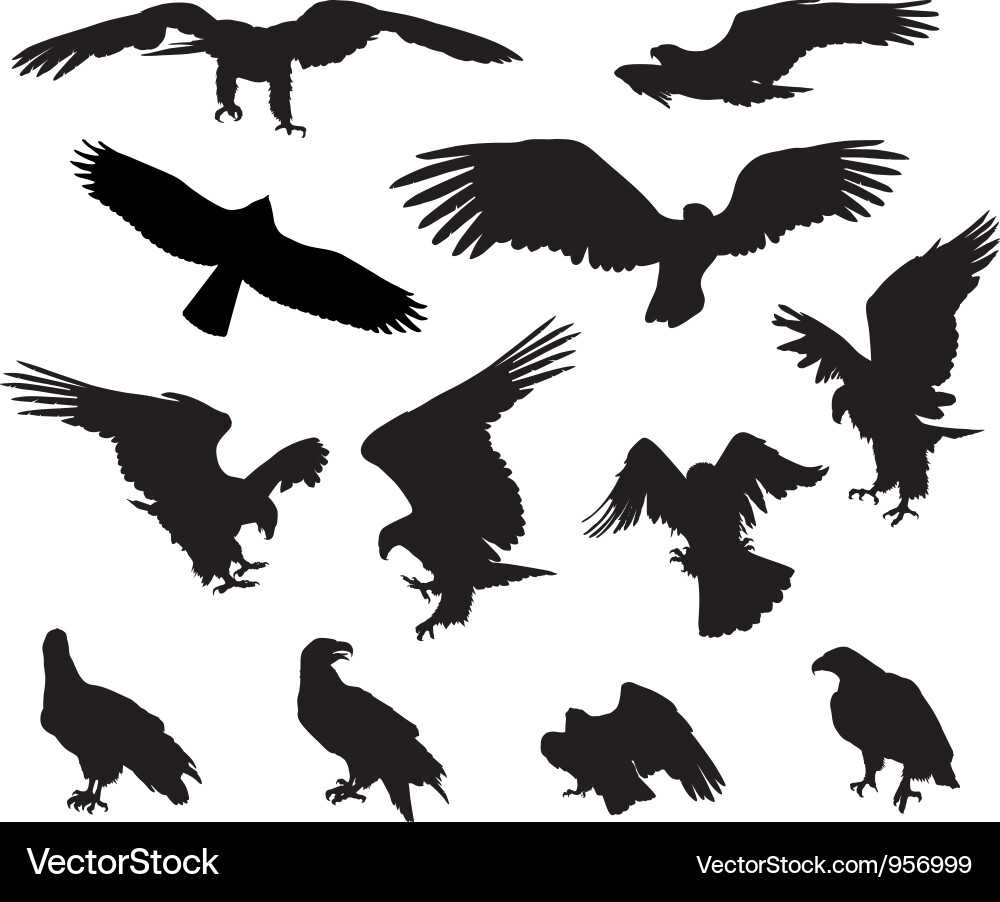Eagle Silhouettes - Hunting Set vector image