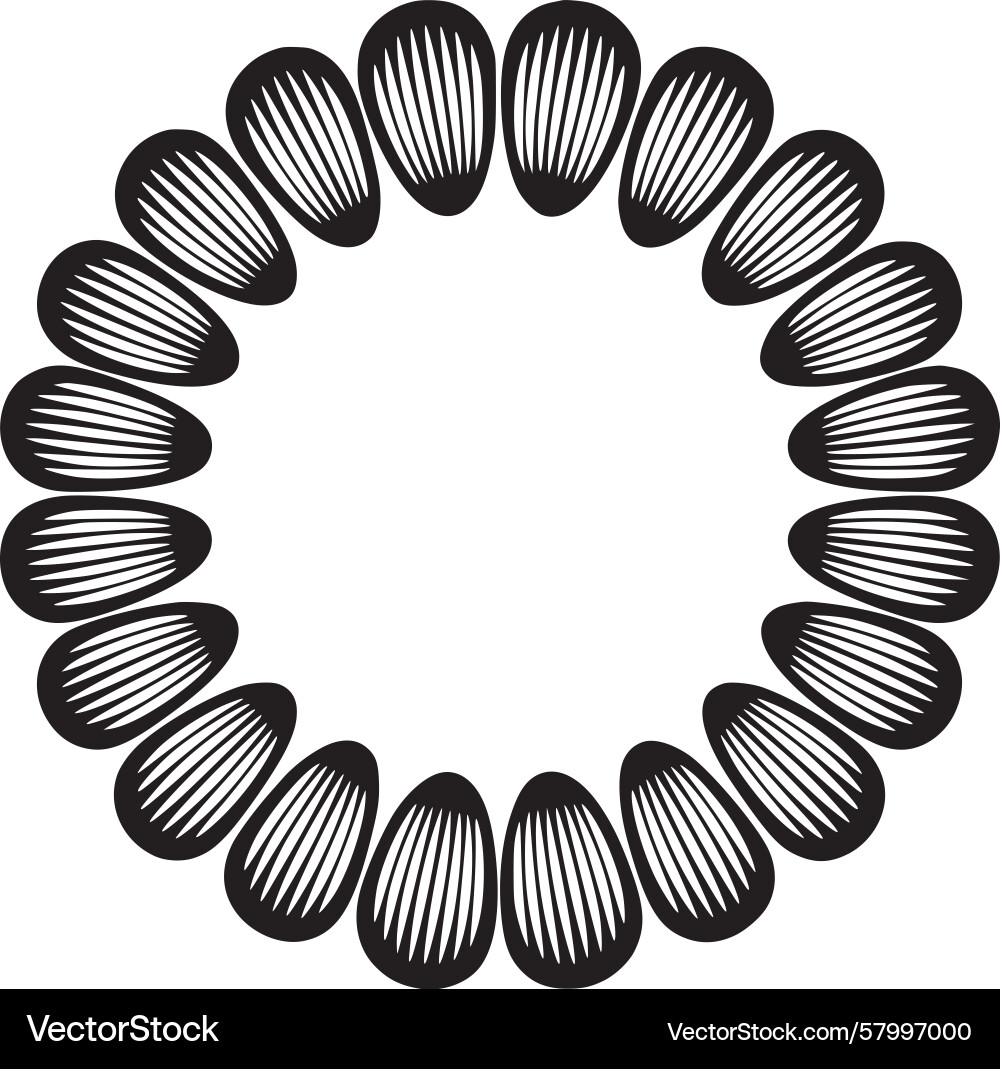 Circular Line Art Pattern Vector Image