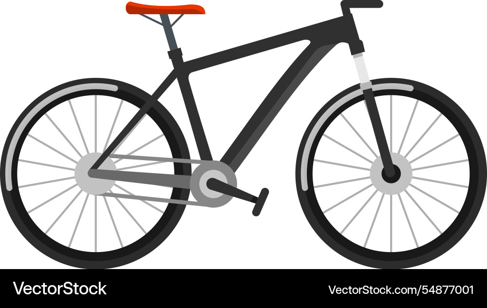 Bicycle with sleek design isolated on a white Vector Image