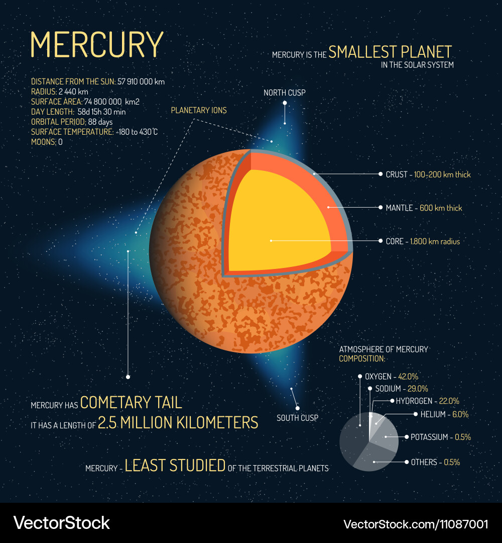 Mercury's Internal Structure Vector Image