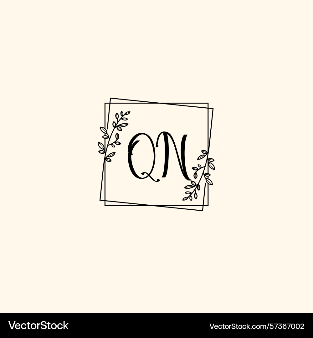 Classic floral monogram qn with elegant frame Classic floral monogram qn with elegant frame vector image