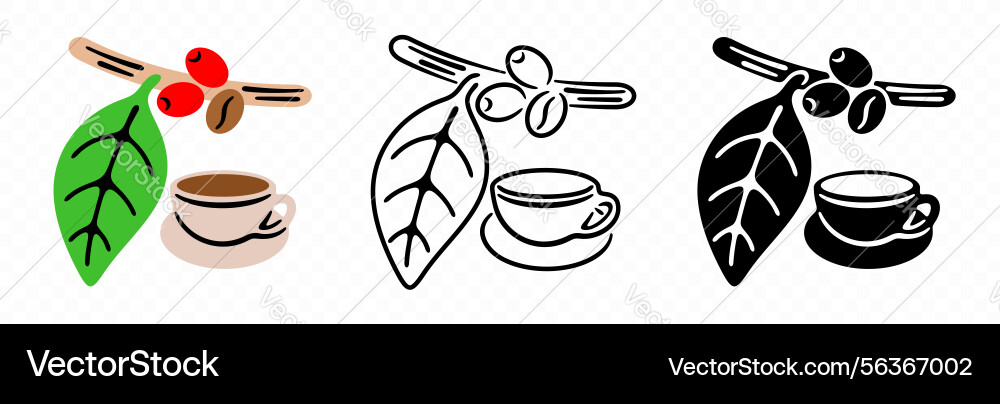 Coffee branch with ripe cherries and beans Coffee branch with ripe cherries and beans Vector Image